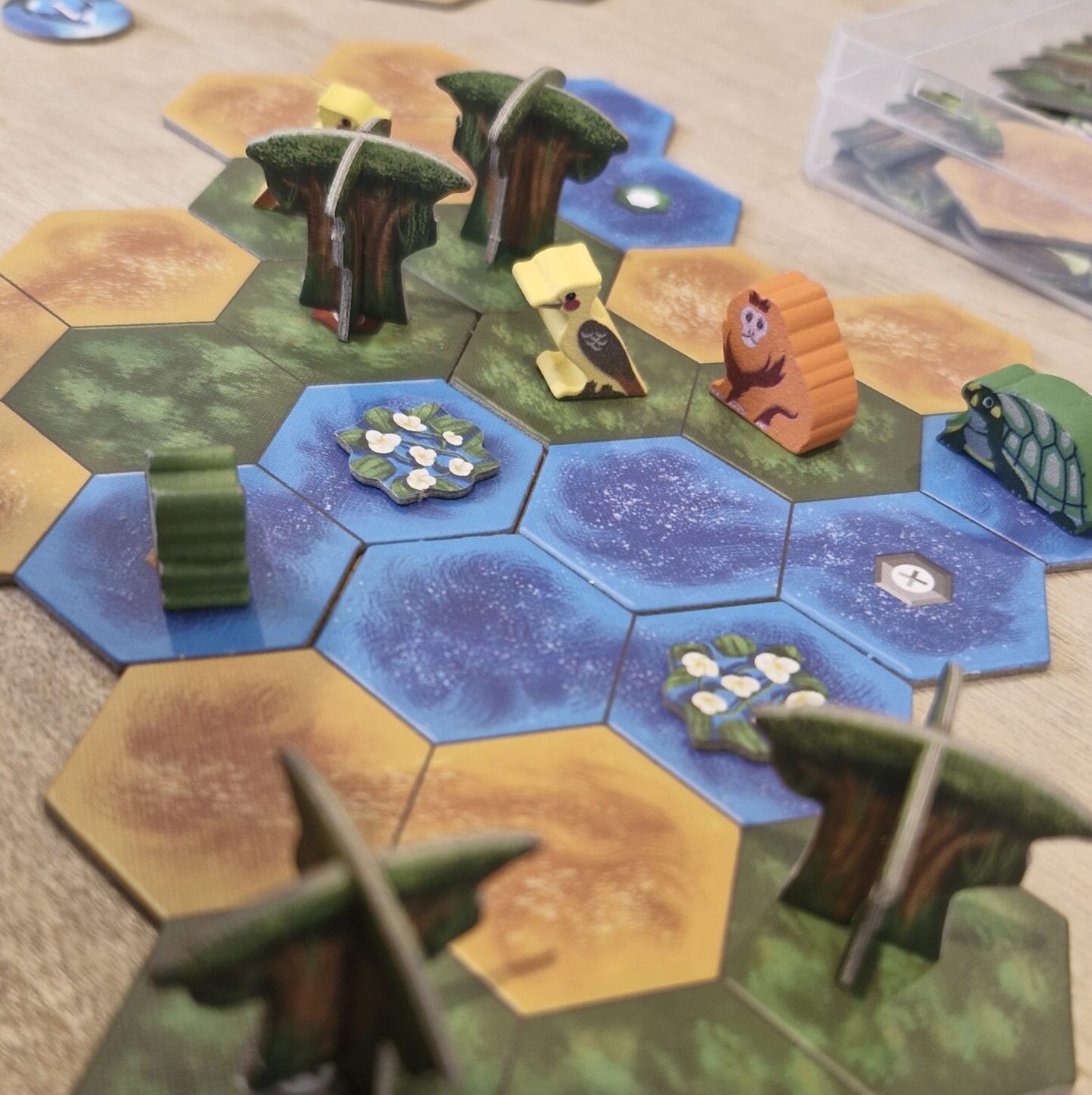 wESEL spielt e.V. Spieleabende 2025 - August - Life of Amazonia