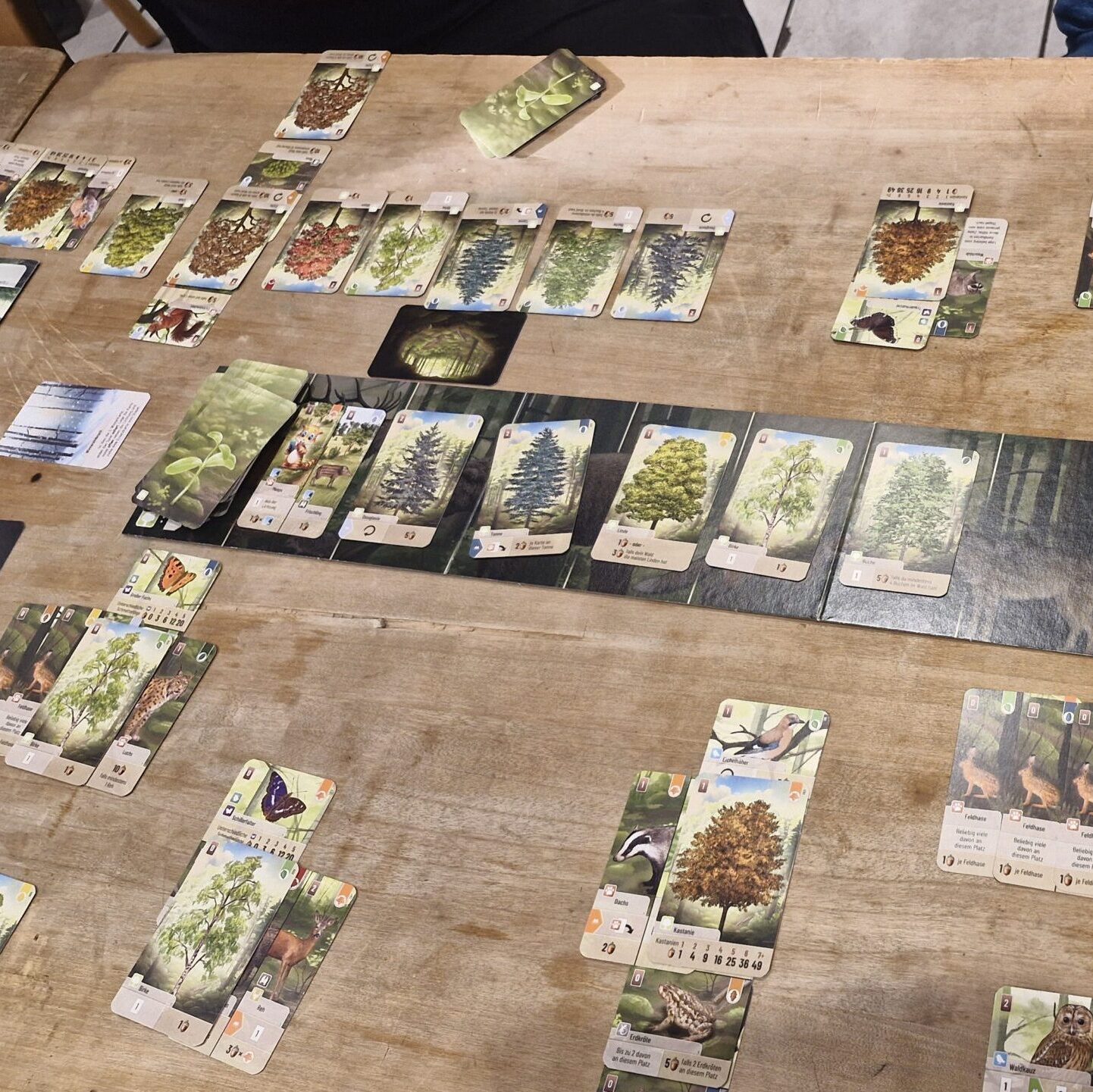 wESEL spielt e.V. Spieleabende 2025 - August - Mischwald