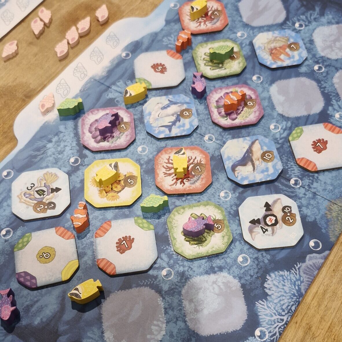 wESEL spielt e.V. Spieleabende 2025 - Q4 - Shallow Sea