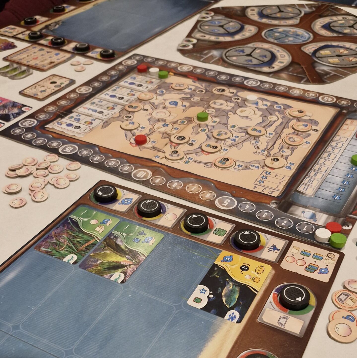 wESEL spielt e.V. Spieleabende 2025 - Q4 - Aquaria