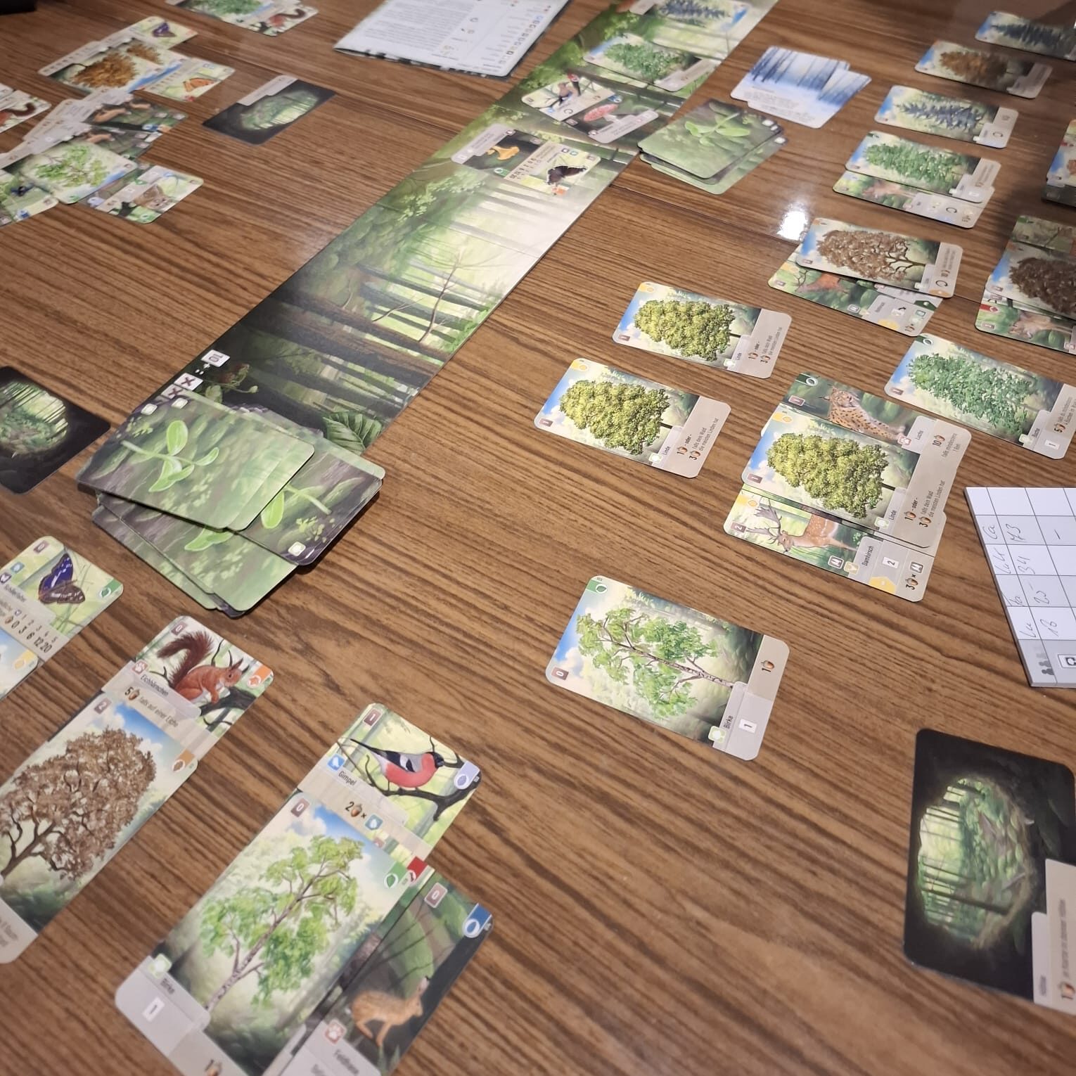wESEL spielt e.V. Spieleabende 2026 - Q1- Mischwald